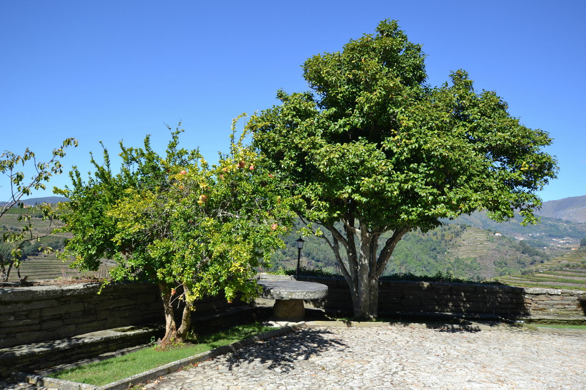 Casa Das Torres De Oliveira Mesão Frio Екстериор снимка